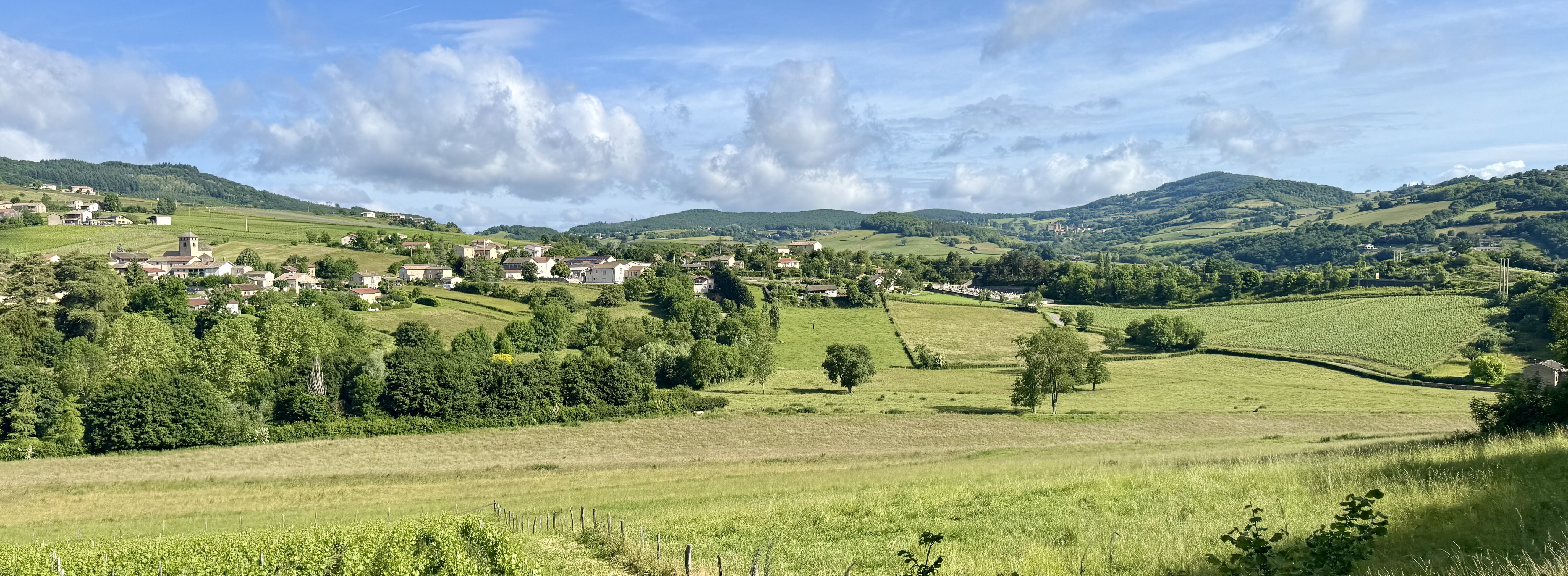 Bannière Sologny